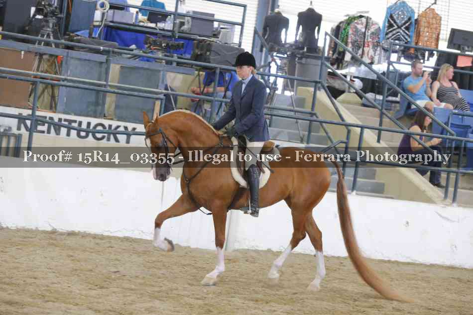 Proof Number 15R14_03355