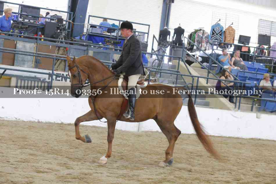Proof Number 15R14_03356