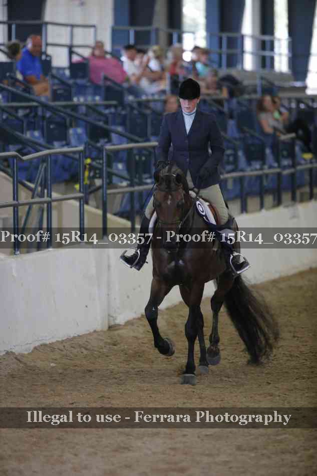 Proof Number 15R14_03357