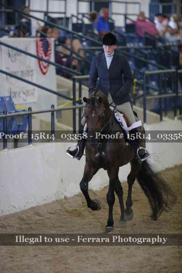 Proof Number 15R14_03358