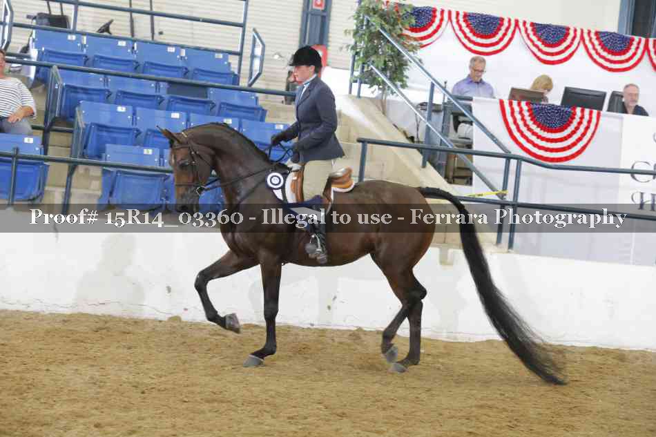 Proof Number 15R14_03360