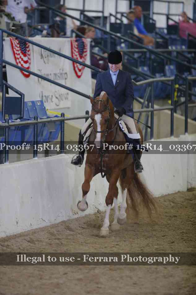 Proof Number 15R14_03367