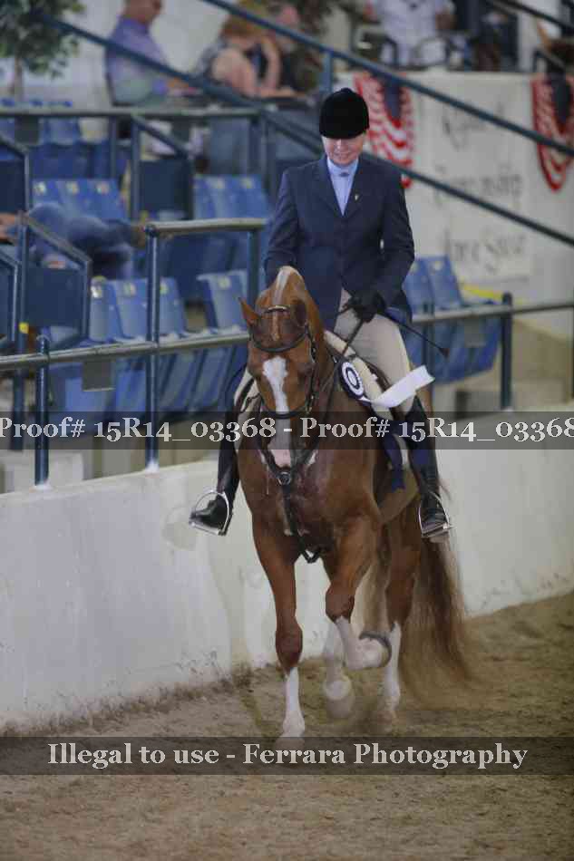 Proof Number 15R14_03368