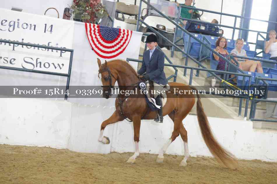 Proof Number 15R14_03369