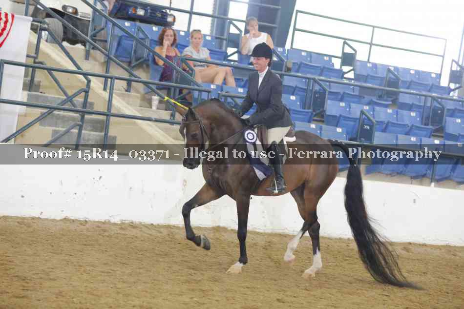 Proof Number 15R14_03371