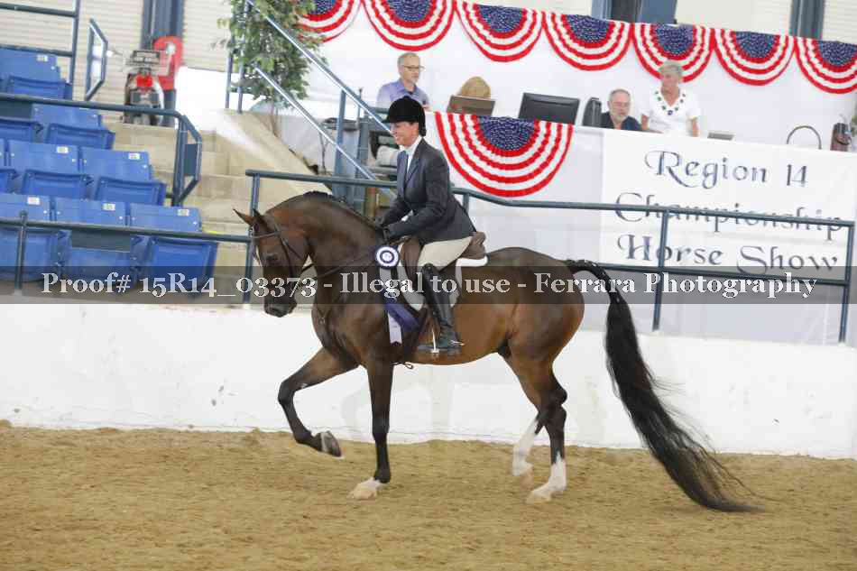 Proof Number 15R14_03373