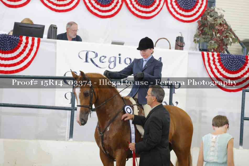 Proof Number 15R14_03374