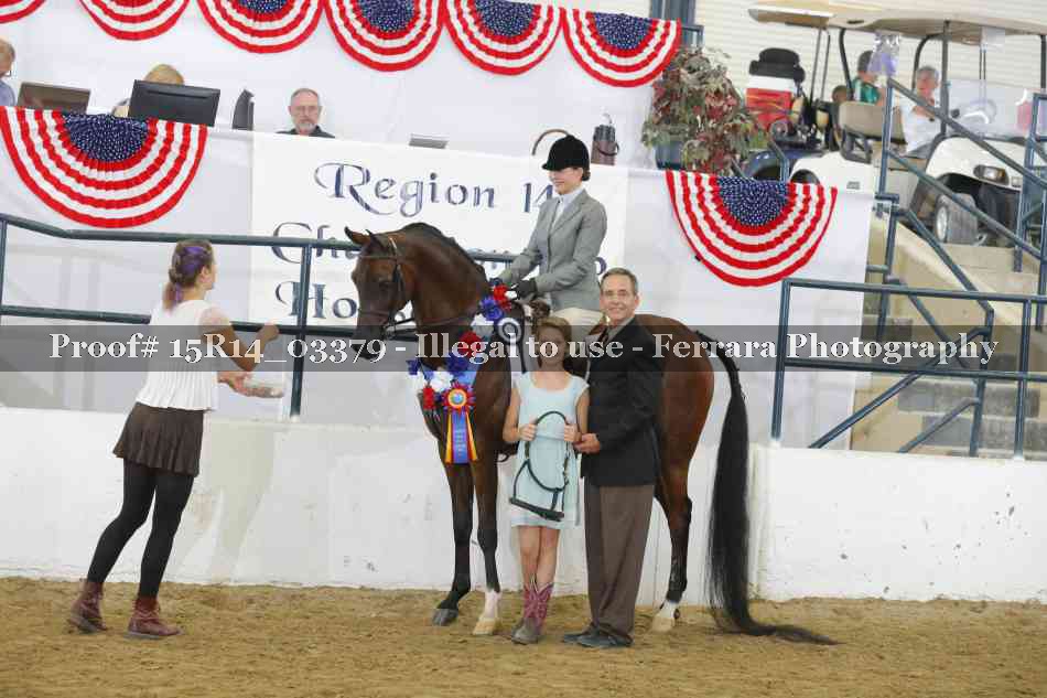 Proof Number 15R14_03379