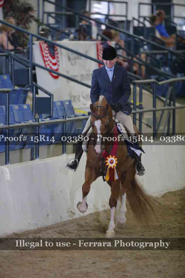 Proof Number 15R14_03380