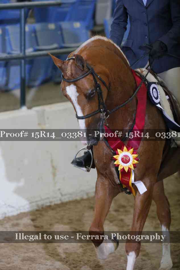 Proof Number 15R14_03381