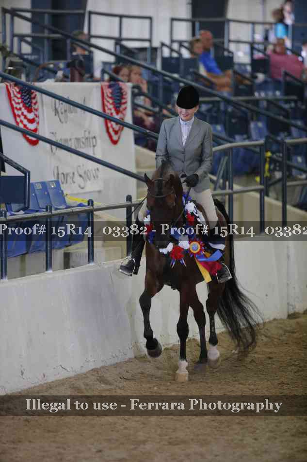 Proof Number 15R14_03382
