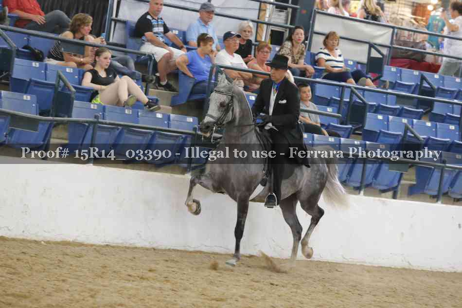 Proof Number 15R14_03390
