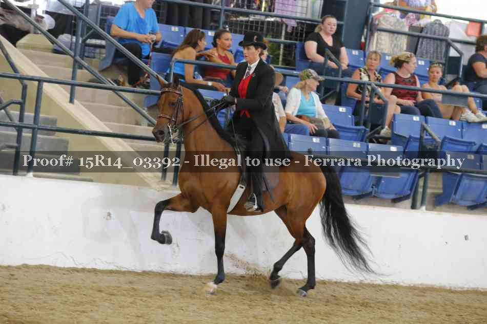 Proof Number 15R14_03392