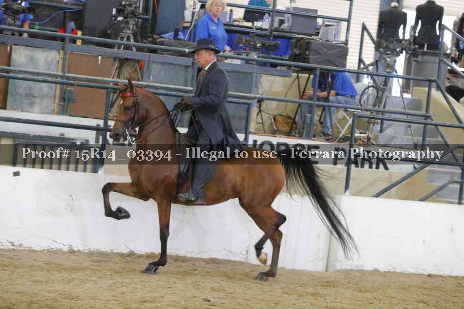 Proof Number 15R14_03394