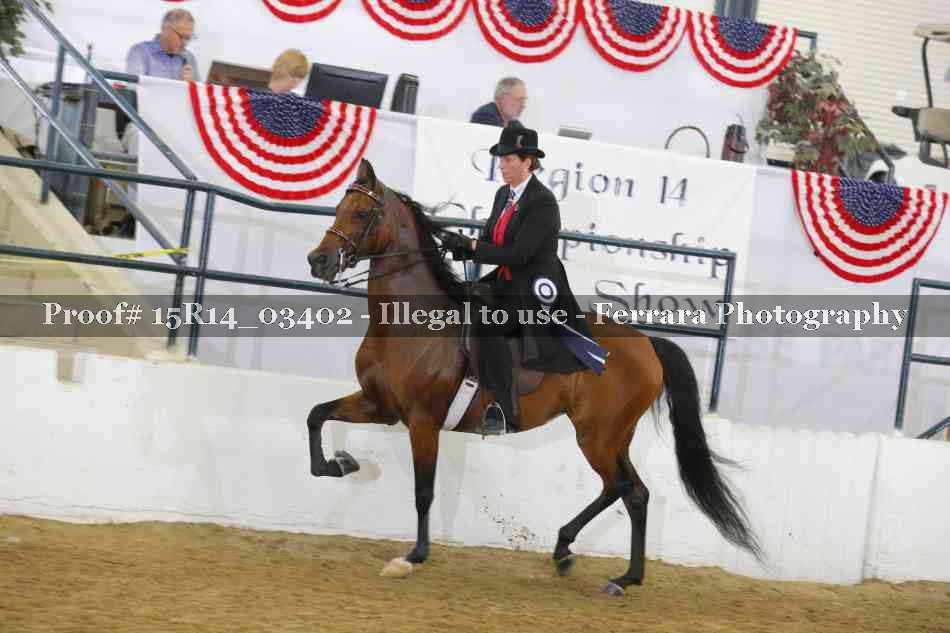 Proof Number 15R14_03402