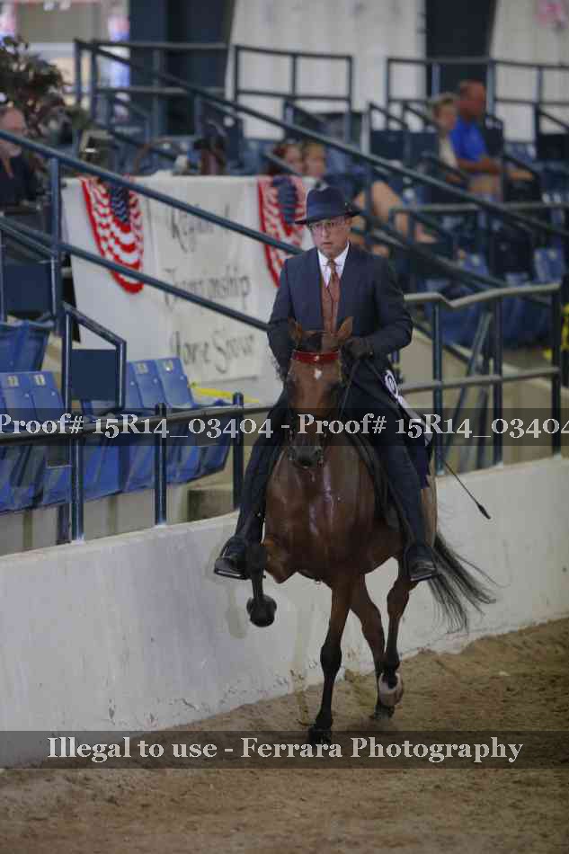Proof Number 15R14_03404