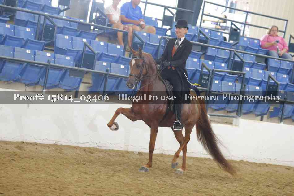 Proof Number 15R14_03406