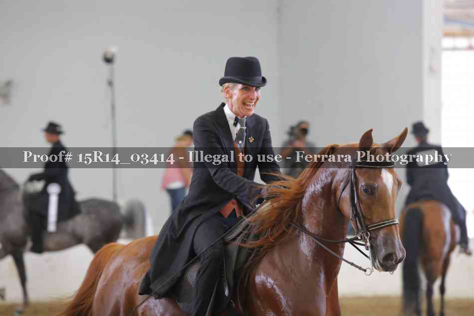 Proof Number 15R14_03414