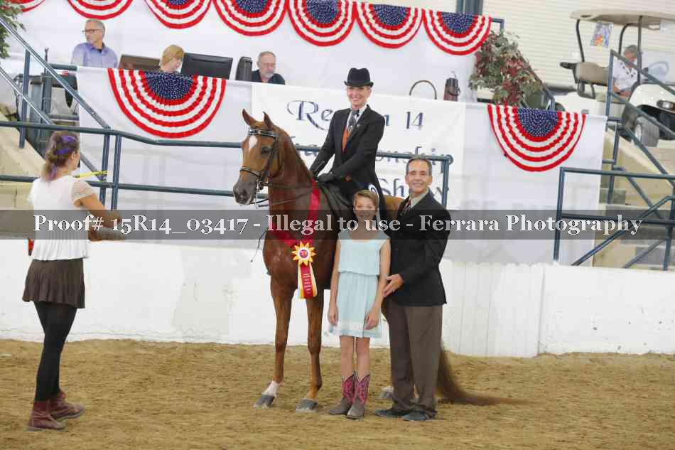 Proof Number 15R14_03417