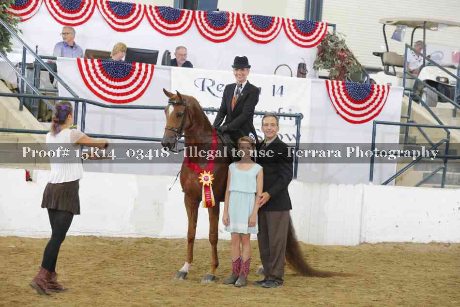 Proof Number 15R14_03418