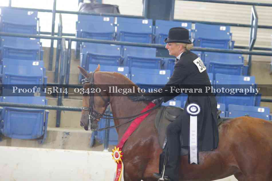 Proof Number 15R14_03420