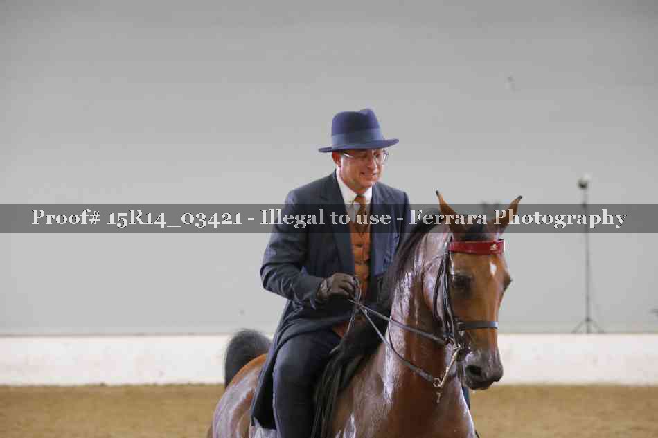 Proof Number 15R14_03421