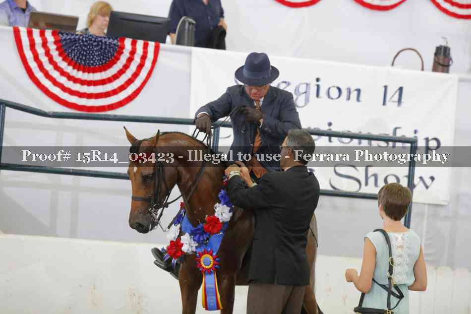 Proof Number 15R14_03423