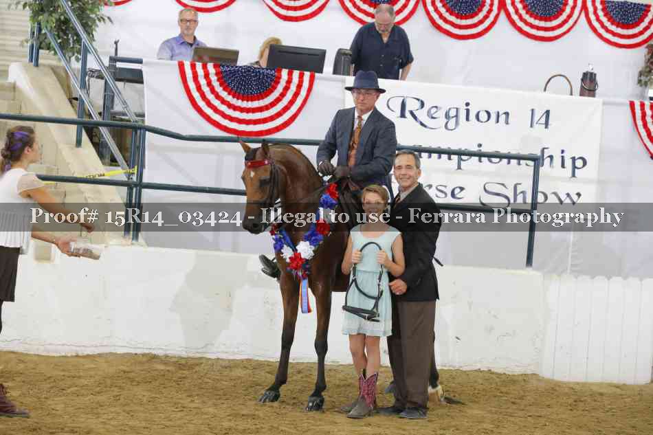 Proof Number 15R14_03424