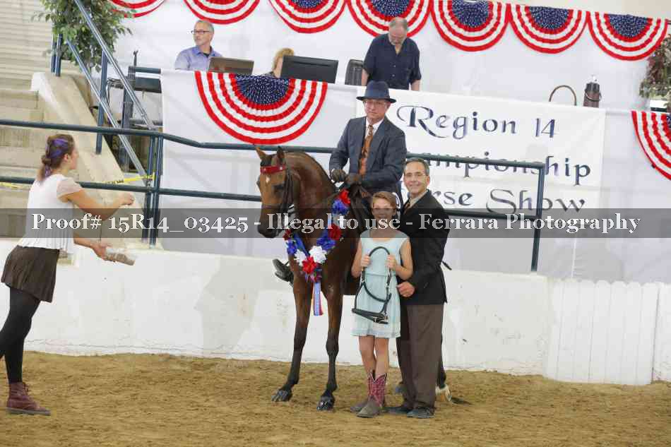 Proof Number 15R14_03425