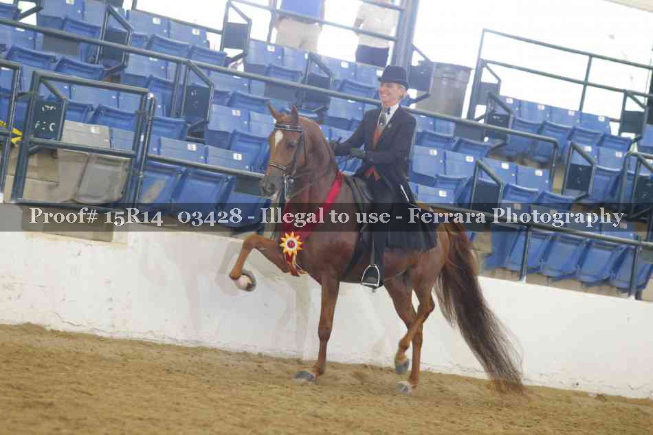 Proof Number 15R14_03428