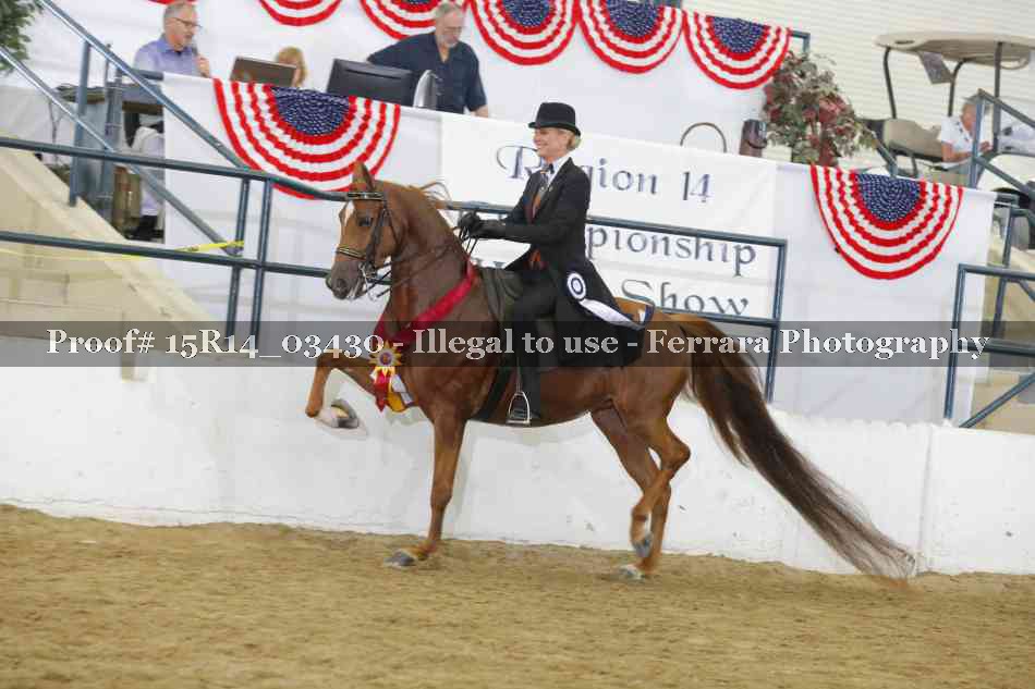 Proof Number 15R14_03430