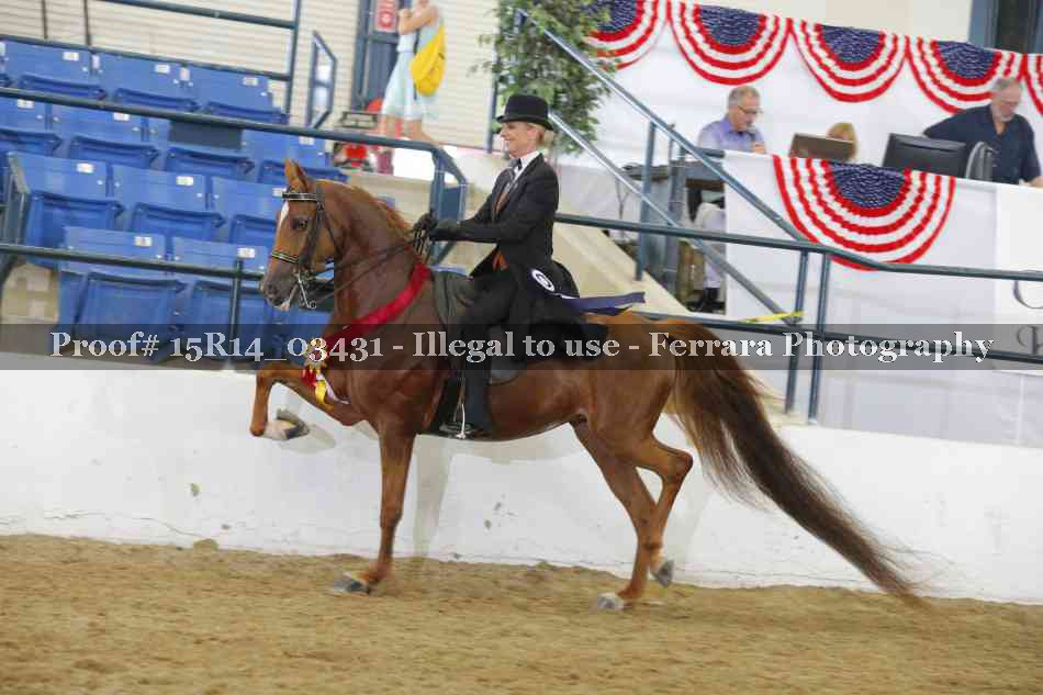 Proof Number 15R14_03431