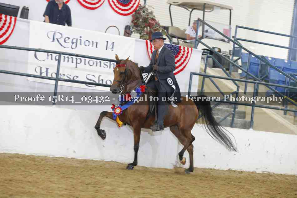 Proof Number 15R14_03432