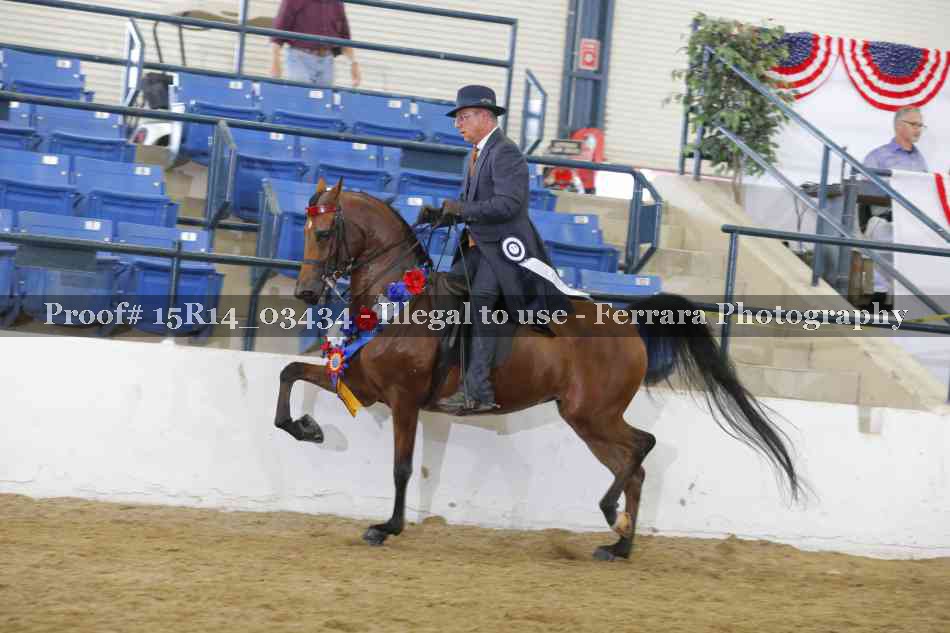 Proof Number 15R14_03434