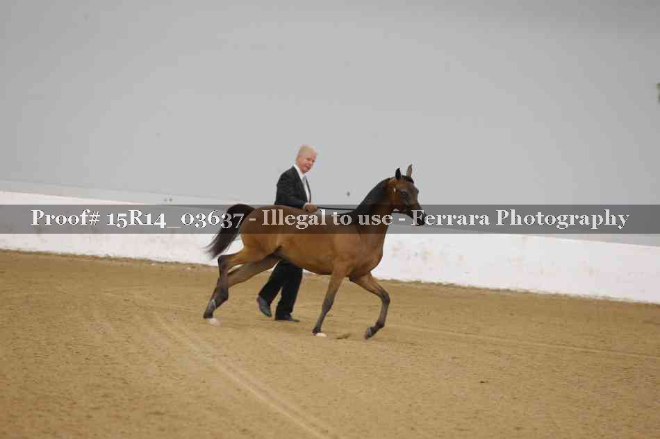 Proof Number 15R14_03637