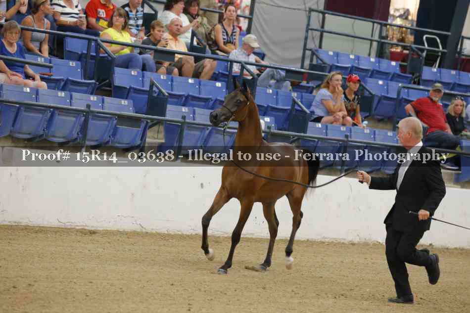 Proof Number 15R14_03638