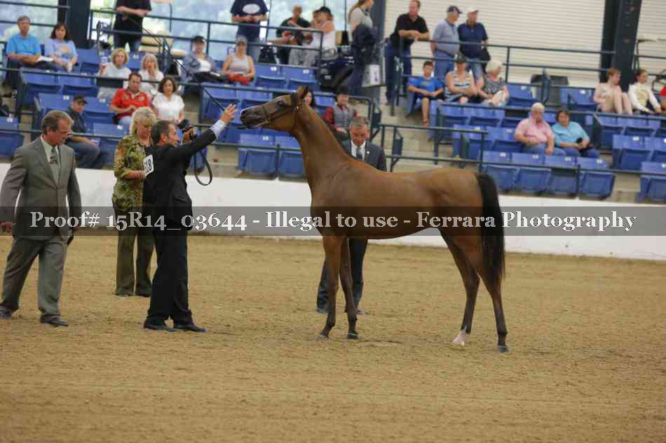 Proof Number 15R14_03644