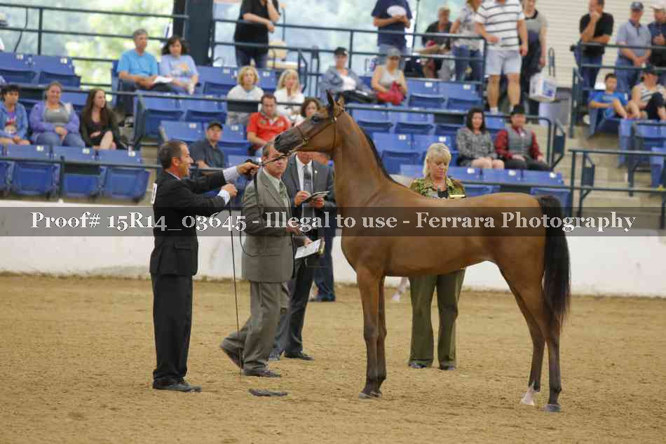 Proof Number 15R14_03645