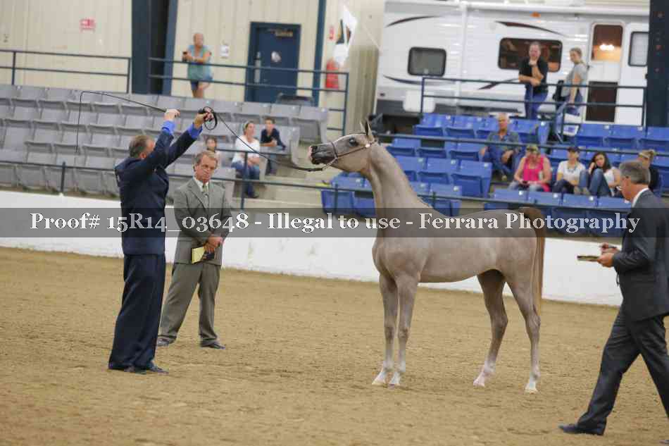 Proof Number 15R14_03648