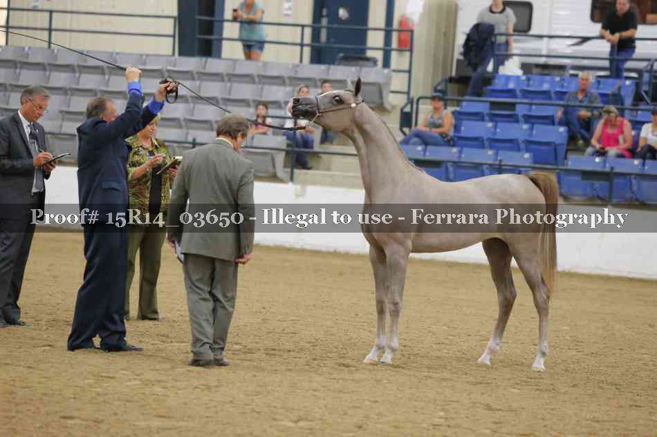Proof Number 15R14_03650