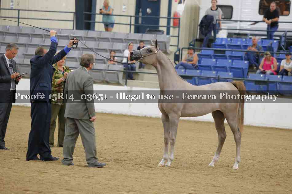 Proof Number 15R14_03651