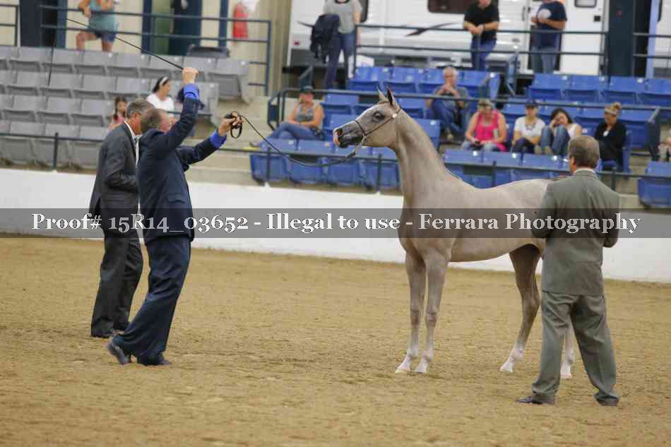 Proof Number 15R14_03652