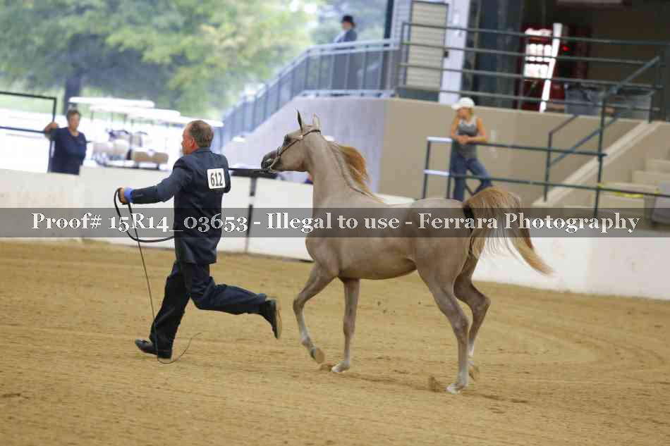 Proof Number 15R14_03653