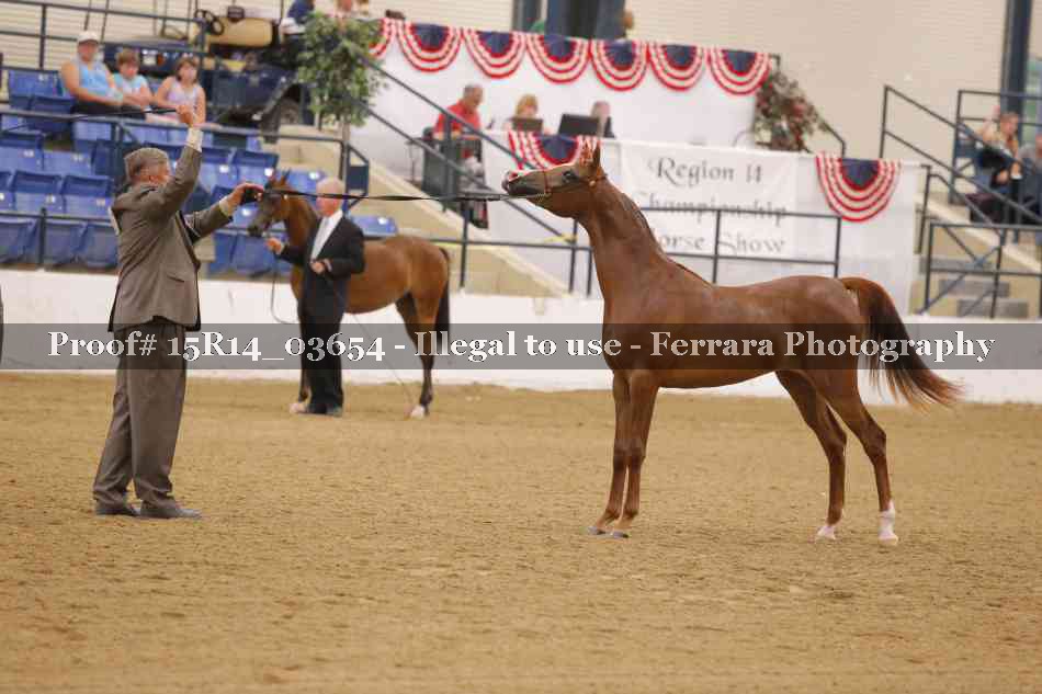 Proof Number 15R14_03654