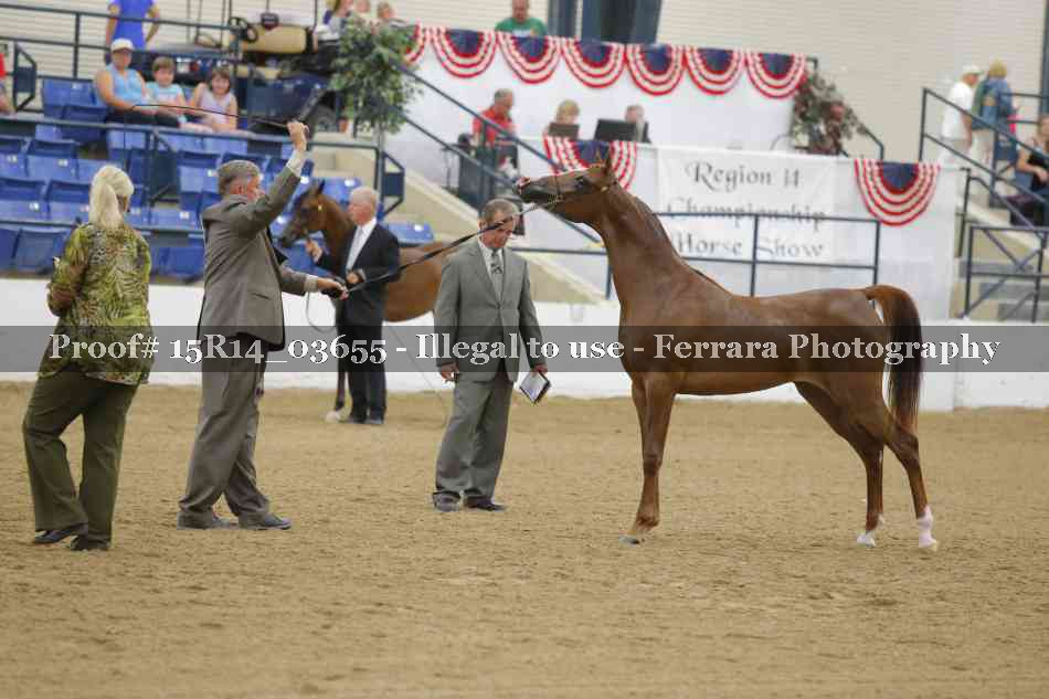 Proof Number 15R14_03655