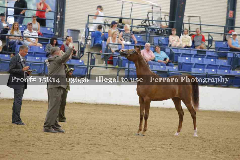 Proof Number 15R14_03656