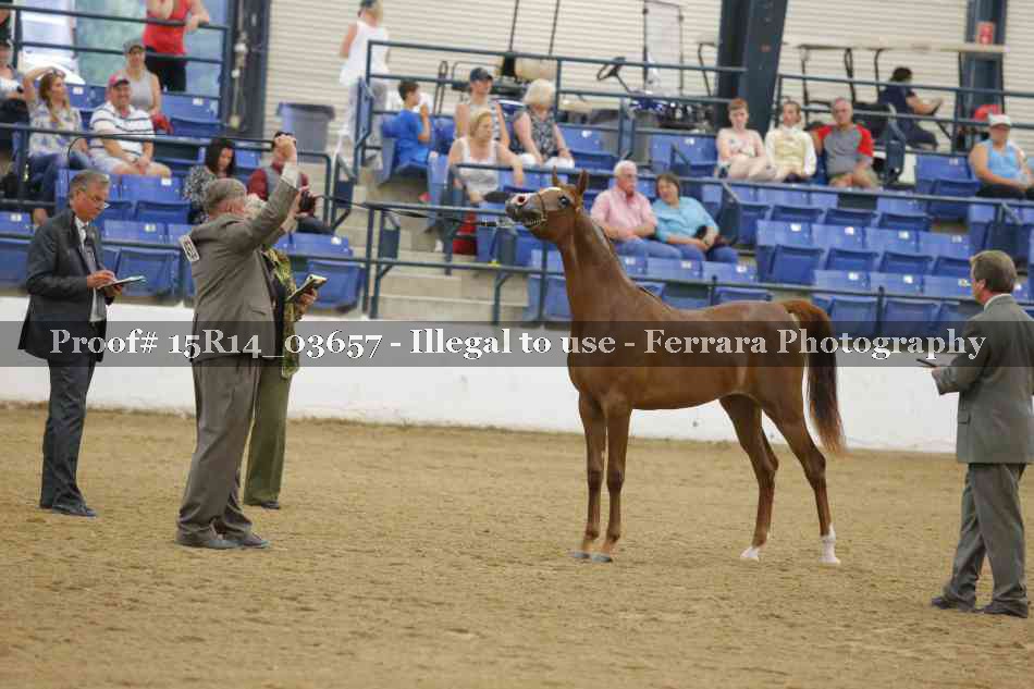 Proof Number 15R14_03657