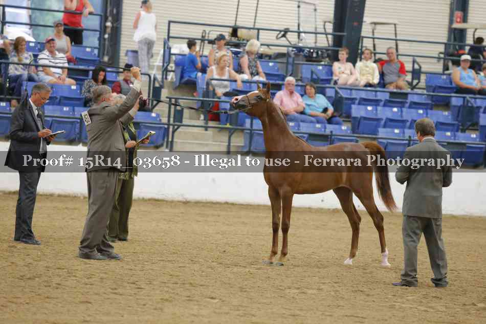 Proof Number 15R14_03658