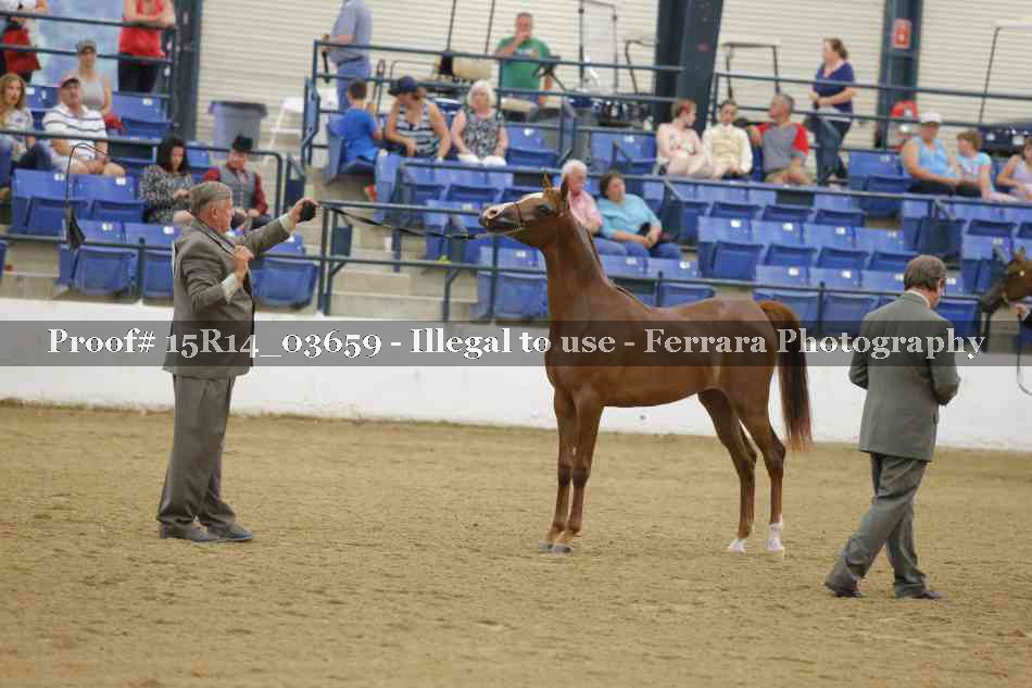Proof Number 15R14_03659