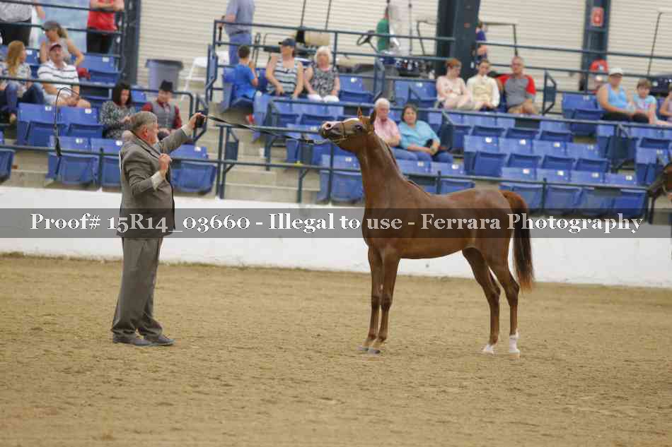 Proof Number 15R14_03660